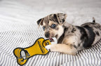 Pets First NHL Pittsburgh Penguins Dental Dog TUG Toy with Squeaker. Tough PET Toy for Healthy Fun, Teething & Cleaning Pet's Teeth & Gum., one Size (PEN-3310)