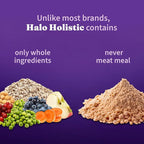 Halo Holistic Plant-Based Recipe With Superfoods, Complete Digestive Health, Vegan Dry Dog Food Bag, Adult Formula, 21-lb Bag