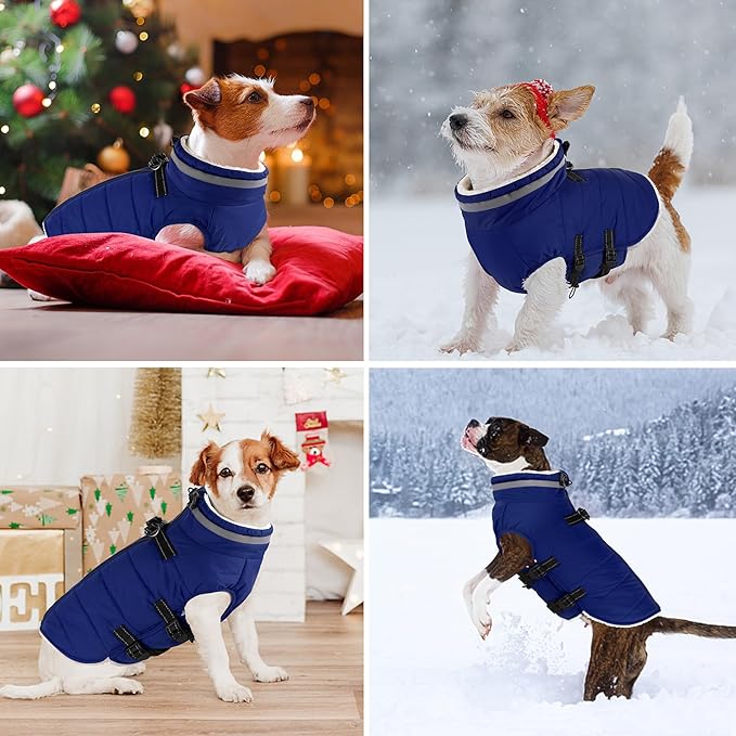 Dogcheer Dog Coat, Waterproof Dog Jacket with Harness, Reflective Adjustable Puppy Winter Coat with Zipper, Christmas Snow Jacket Clothes for Small Medium Large Dogs - Blue M