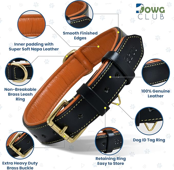 Genuine Leather Dog Collar | Full Grain, Heavy Duty, Comfortable, Padded, Strong | Best for Pups, Small, Medium, Large & XL Breeds (Large (Fit Neck Size 18.5"-22.5"), Black)