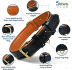 Genuine Leather Dog Collar | Full Grain, Heavy Duty, Comfortable, Padded, Strong | Best for Pups, Small, Medium, Large & XL Breeds (X-Large (Fit Neck Size 22"-26"), Black)