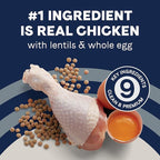 Canidae Pure Limited Ingredient Premium Puppy Dry Dog Food, Real Chicken, Lentil & Whole Egg Recipe, 22 lbs, Grain Free