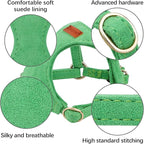 No Pull Dog Harness- Lightweight, Soft, Adjustable Small Harness Collar and Leash Set, Suitable for Cats Puppy Small and Medium-Sized Dog Outdoor Training and Running (Green, XXS)