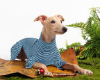Dog Sweaters for Small Dogs Girls Boys, Striped Pet Sweaters for Fall Winter Dog Clothes, Turtleneck Pullover Knitwear for Small Medium Large Dogs