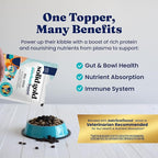 Solid Gold NutrientBoost Meal Toppers for Dogs - High Protein Dog Food Toppers for Dry Food - Grain Free Flavor Enhancer with Vitamins, Minerals & Amino Acids for Gut Health & Immune Support - 1lb