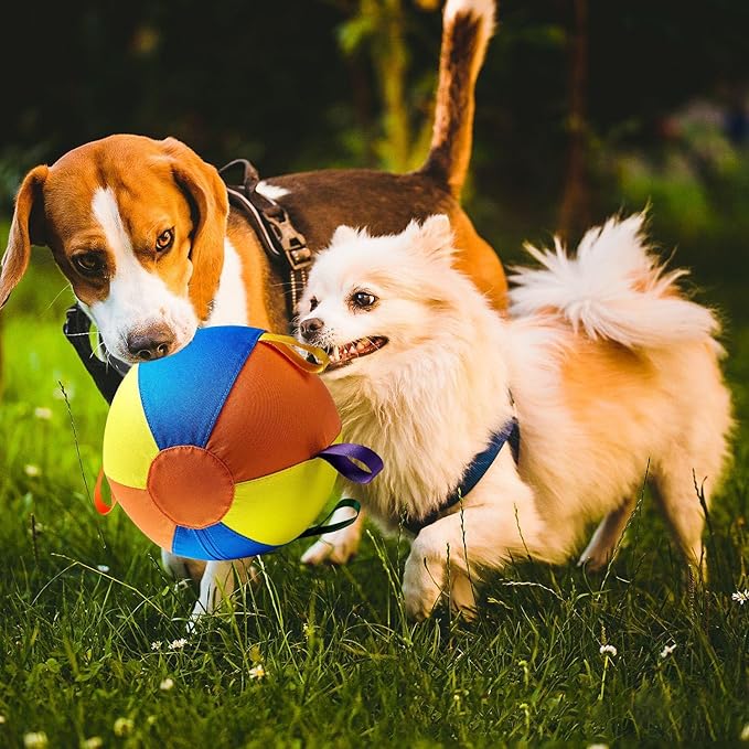 Herding Giant Tennis Dog Ball, Toy for Medium to Large Dogs, for Aggressive Chewers, Tough Herding Ball for Play & Exercise, Fun Doggy Birthday Gift (22-inch)