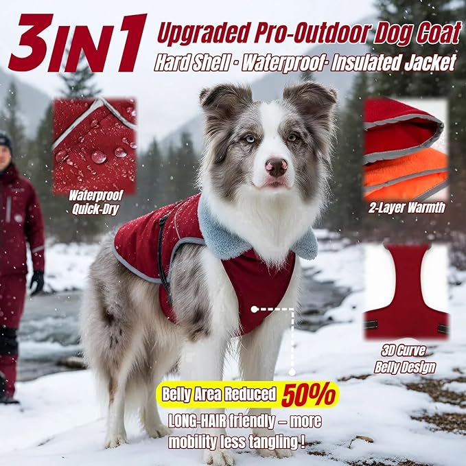 Insulated Outdoor Dog Winter Jacket, Hard Shell Dog Coat with 2 Layer Warmth, Waterproof & Lightweight Coats for Medium Dogs with Leash Portal, Neck Belly Adjustable Pet Jackets for Dachshund(Wine, M)