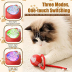 Interactive Cat Toys Ball for Indoor Cats, 2025 Newly Upgraded Automatic Rolling Balls, Moving Cat Ball with Elastic Mesh Tail, Kitten Toys for for Bored Indoor Adult Cats/Dog (Grey)