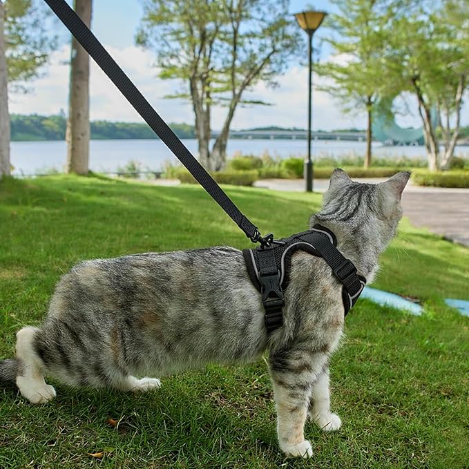 Cat Harness and Leash Set Escape Proof Tactical Medium Kitten Harness Emotional Support Cat Vest, Black, M