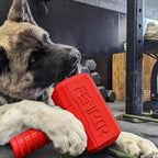 Fenrir Hammer Dog Chew Toy Strong Rubber Stuffable Enrichment Toy for Chewers (Red, Large)