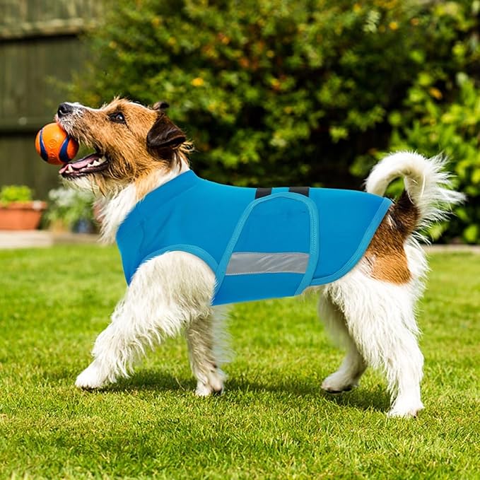 MIGOHI Dog Anxiety Relief Coat,Comfort Anxiety Vest for Dogs,Adjustable Dog Anxiety Calming Wrap for Fireworks,Thunderstorm,Travel,Separation,Anxiety Jacket for Large Dogs,L,Blue