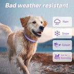PcEoTllar Light Up Dog Collars, Led Dog Collar, Rechargeable, Night Walking, Waterproof, Glow in The Dark Dog Collars Light for Large Small Medium Dogs, Purple s