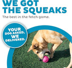 Outward Hound by Planet Dog Squeak Ball Bouncy Fetch Dog Toy, Pink