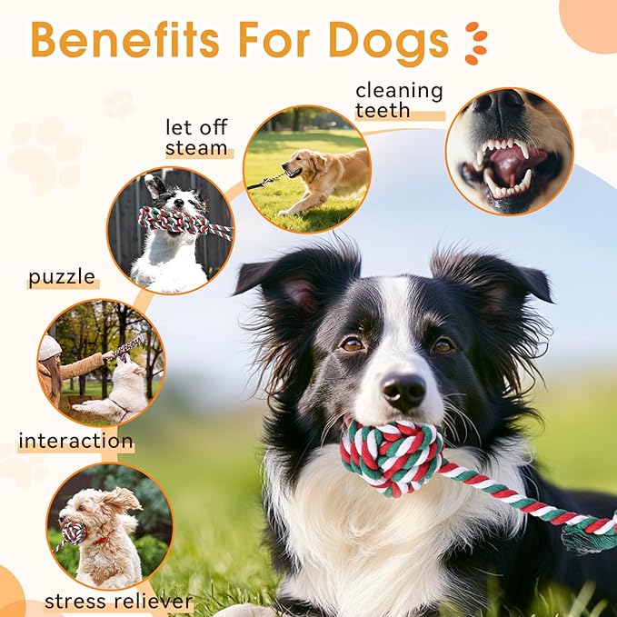 HOPET Dog Bungee Tug Toy for Dogs, Dog tug of war Toy,Outdoor Interactive Toys