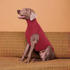 ROZKITCH Dog Sweaters Soft Fleece Pullover Sweatshirt Pajamas, Turtleneck Warm Pet Cold Weather Jacket Stretchy Vest Jumpsuit Apparel Outfit Clothes for Small Medium Large Dogs Walking Sleep Red L