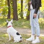 Dogline Biothane Waterproof Dog Leash Strong Coated Nylon Webbing with Black Hardware Odor-Proof Easy to Clean High Performance for Small or Large Dogs Made in USA 2 ft Lead, Dark Chocolate Brown