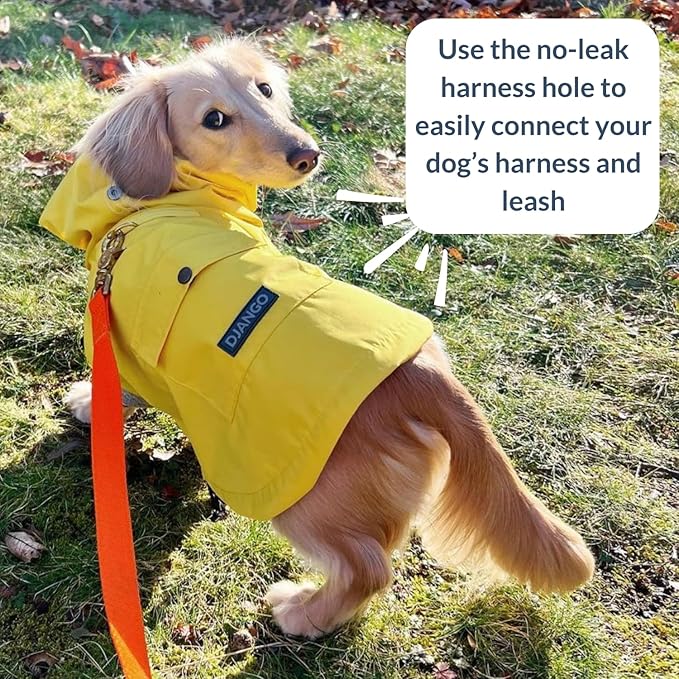 DJANGO Highland Dog Jacket & Raincoat – Water-Repellent, Lined Dog Coat with Hood, Adjustable Fit & Harness Hole – Lightweight Rain & Wind Jacket for Small & Medium Dogs up to 30 lbs (Yellow, Small)