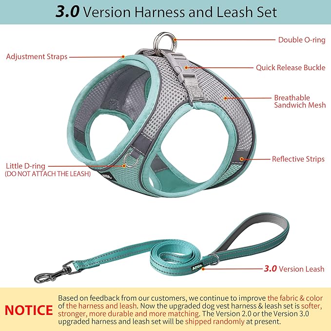 AIITLE Comfortable Dog Harness and Leash Set for Walking - Summer Step in Vest Harness,Reflective Bands, Adjustable No Pull Puppy Essentials, for Small Dogs and House Cats Turquoise XS