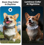 PcEoTllar Light Up Dog Collars, Led Dog Collar, Rechargeable, Night Walking, Waterproof, Glow in The Dark Dog Collars Light for Large Small Medium Dogs, Black m