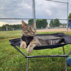 Voyager Step-in Lock Adjustable Cat Harness w. Cat Leash Combo Set with Neoprene Handle 5ft - Supports Small, Medium and Large Breed Cats by Best Pet Supplies - Army/Black Trim, XS