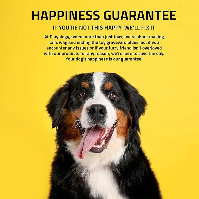 Playology Dog Toys | Dental Chew Stick Gentle on Gums | Medium Peanut Butter Scented Toy - Easy to Clean and Made from Non Toxic Materials