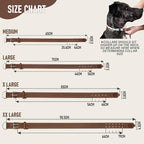 Riparo Dog Collar - Genuine Leather Dog Collars - Heavy Duty Dog Collars for Medium Large and Extra Large Dog Breeds (M: 1” Wide for 14” - 18” Neck, Brown)
