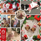 PETCARE Santa Dog Sweater Christmas Funny Cute Red Striped Cat Sweater Vest Pet Holiday Dog Clothes Puppy Sweaters for Small Medium Large Dogs Cats Fall Winter Outfits Xmas Dogs Costume,XX-Large