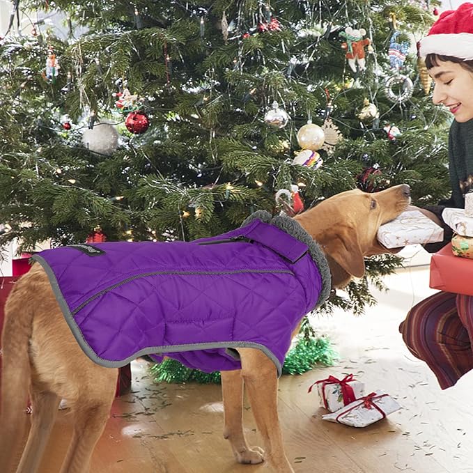Fragralley Dog Coat Medium, Waterproof Dog Jacket with Warm Fleece Lining, Adjustable Reflective Dogs Winter Coat, Turtleneck Pet Coats for Cold Weather (Purple M)
