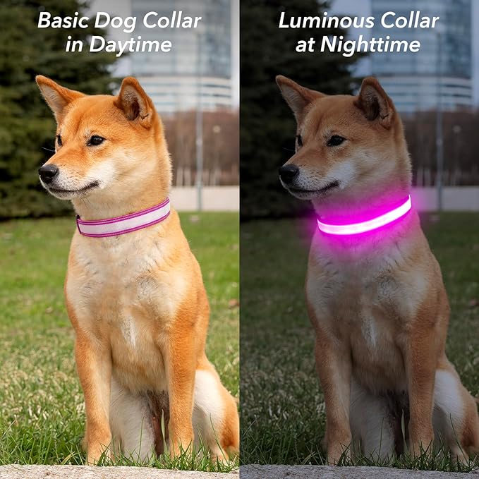 Visinite LED Dog Collar USB Rechargeable, Reflective Light Up Pet Collar for Night Walking, Adjustable Glow Collar for Small Medium Large Dogs (Pink, M)