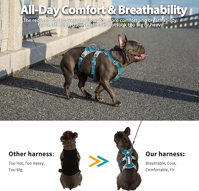 Huntboo Escape Proof Dog Harness, Escape Artist Harness, Fully Reflective Harness with Padded Handle, Breathable, Durable, Adjustable Vest for Small Dogs Walking, Training, and Running Gear (Teal,S)