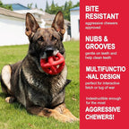 Natural Rubber Dog Balls for Large Aggressive Chewers - Lifetime Replacement - Indestructible and Durable Dog Toys for Large Breed, Red