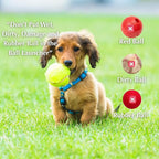 Automatic Dog Ball Launcher – 12 ETPU Balls & Bonus Collapsible Bowl, 3 Distance Settings (20ft/33ft/46ft), Smart Fetch Toy for Small & Medium Dogs, Indoor/Outdoor Use (Green)