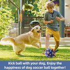 QDAN Dog Toys Soccer Ball with Straps, Durable Balls for Large Dogs, Beach Pool Dog Water Toy, Puppy Dog Birthday Gifts (8 Inch)