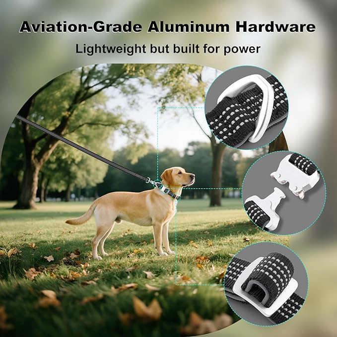Plutus Pet Reflective Dog Collar with Aviation Aluminum Buckle, Neoprene Padded for Comfort, Lightweight, Heavy Duty Nylon Collar for Puppy Small Medium Large Dogs (Black, S)