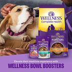 Wellness Complete Health Sensitive Skin & Stomach Dry Dog Food, Wholesome Grains, Salmon & Rice Recipe, (38-Pound Bag)