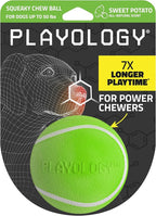 Playology Dog Toys | Squeaky Chew Ball - Bouncy Durable Floating Fetch Ball for Dogs | Medium Sweet Potato Scented Toy - Easy to Clean and Made from Non Toxic Materials