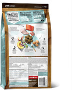 Now Fresh Grain-Free Large Breed Dry Puppy Food with Turkey, Salmon & Duck, Healthy Kibble for Growing Dogs with Real Meat & Fish, Chicken-Free, Pumpkin & Probiotics for Good Digestion, 25 lb Bag