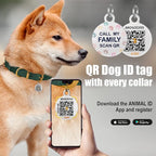 BronzeDog Rolled Leather Dog Collar with QR ID Tag, Adjustable Soft Round Collars for Small Medium Large Dogs Puppy (11" - 14 1/2" Neck Size, Lavender)