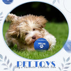Soulchen 25 Pcs Wedding Favor Tennis Balls for Dogs 2.5 Inch with Love Paw Print Design Navy Blue Dog Toys Balls with Black Mesh Bag for Pet Training Exercise Fetch