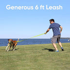 Pawtitas 6 FT Pet Puppy Leash Reflective Dog Leash Comfortable Handle Highly Reflective Threads Heavy Duty Dog Training Leash Available as a 6 ft Medium Dog Leash or 4 ft Dog Leash