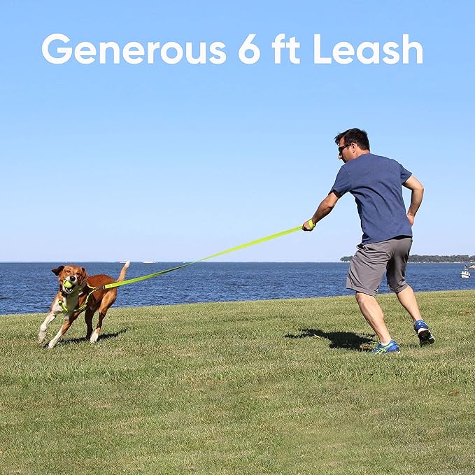 Pawtitas 6 FT Puppy Dog Leash - Comfortable Handle, Highly Reflective, Heavy Duty Training Leash - Available in Small, Camo Green