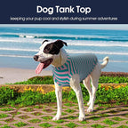 IECOii 2 Pack Summer Dog Clothes for Large Dogs,Breathable Stretchy Pet T-Shirts Lightweight Tank Top Sleeveless Vest for Outdoor Sun Protection - Fit for Large Breeds Labrador,Pink+Stripes,3XL