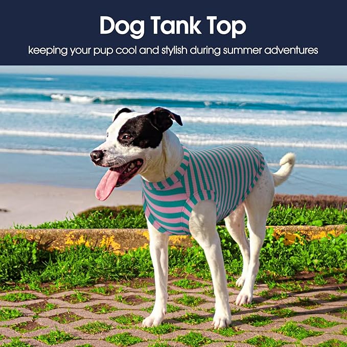 IECOii 2 Pack Dog T-Shirts for Small Medium Dogs,Lightweight & Comfortable – Easy to Wear,Machine Washable & Non - Fading – Perfect for Summer Indoor and Outdoor Use,Pink+Stripes,Large