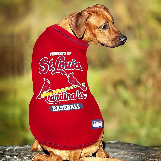 MLB Saint Louis Cardinals Dog T-Shirt, Small. - Licensed Shirt for Pets Team Colored with Team Logos. - Premium Stretchable Materials for The Comfort of Your Dog & cat.