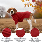 IECOii Dachshund Sweater,Turtleneck Dog Sweater for Small Medium Dogs Girl Boy,Stretchy & Breathable,Warm Knitted Pullover Coat,High Neck Knitwear for Cold Weather Indoor & Outdoor Wear (Red,M)