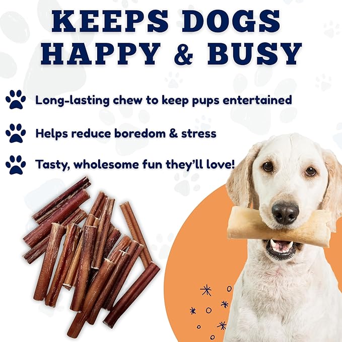 Amazing Dog Treats - 6 Inch Medium Size Bully Sticks (25 Count) - Bulk Bully Sticks for Dogs - No Hide Bully Stick Dog Bones