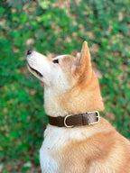Tuff Pupper Classic Heavy Duty Dog Collar | 10x Stronger Than Leather | 100% Waterproof & Odor Proof Dog Collar | Tough Rust-Proof All Metal Hardware