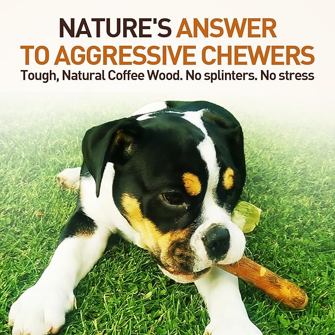 Wildfang® Olive Wood Chewing Sticks for Dogs, Small - Tough Chew Toys for Aggressive Chewers, Puppy Chew Toys for Teething, Training for Chewing Muscles, Olive Wood Stick for Dog (Under 33lbs), 3pack