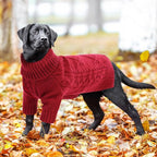 ASENKU Knitted Dog Sweater,Pullover Big Thermal Dog Winter Sweater,Turtleneck Doggy Sweaters for Large Medium Dogs Boy Girl,Warm Pet Sweatshirt for Beagle,Corgi,XL