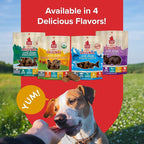 PLATO Original Real Strips Organic Chicken 3oz, Natural (850002221527)